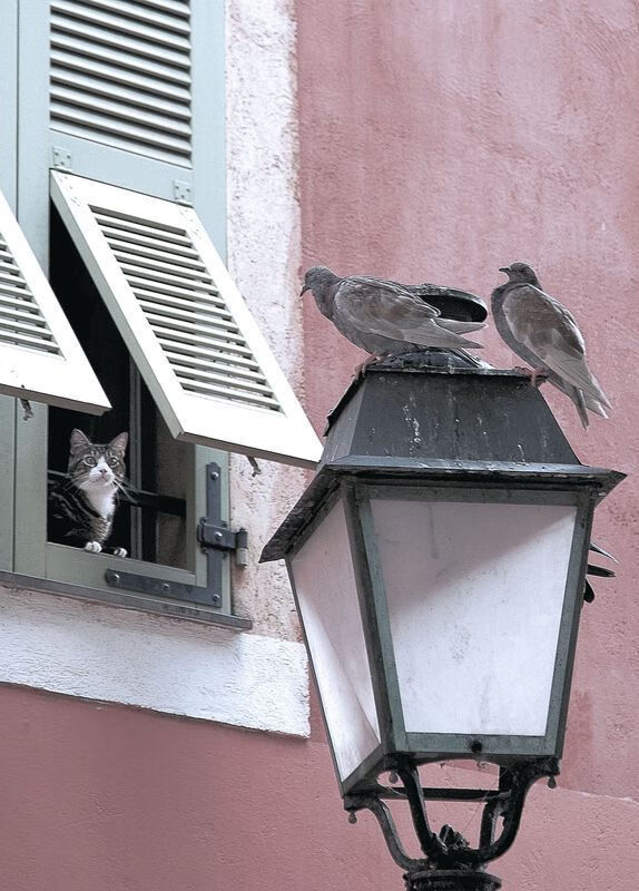 从洛杉矶到马尼拉，征服的疆域，如何被同一股力量定义？