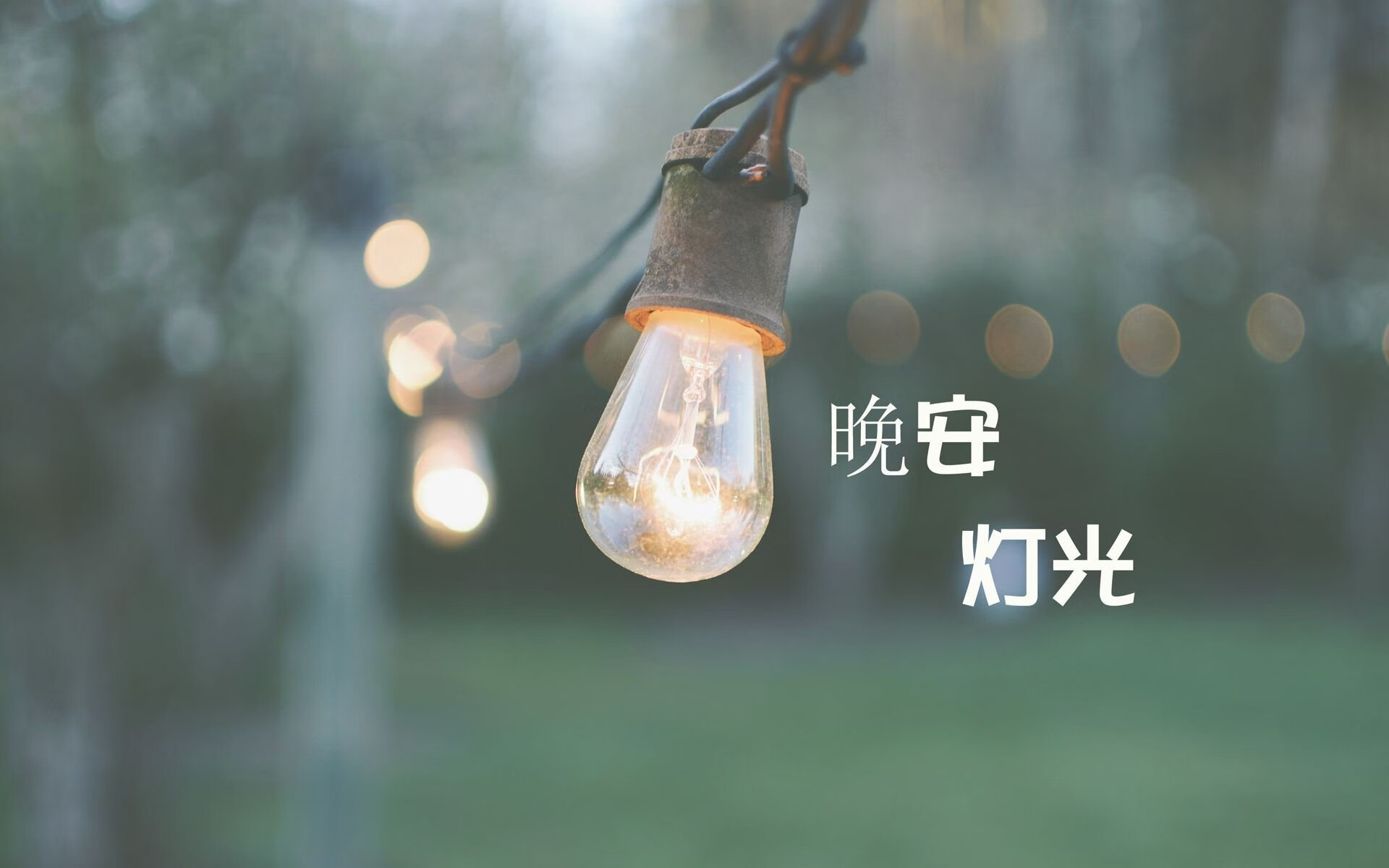 荣耀之路的双重变奏,从银石赛道到CBA赛场