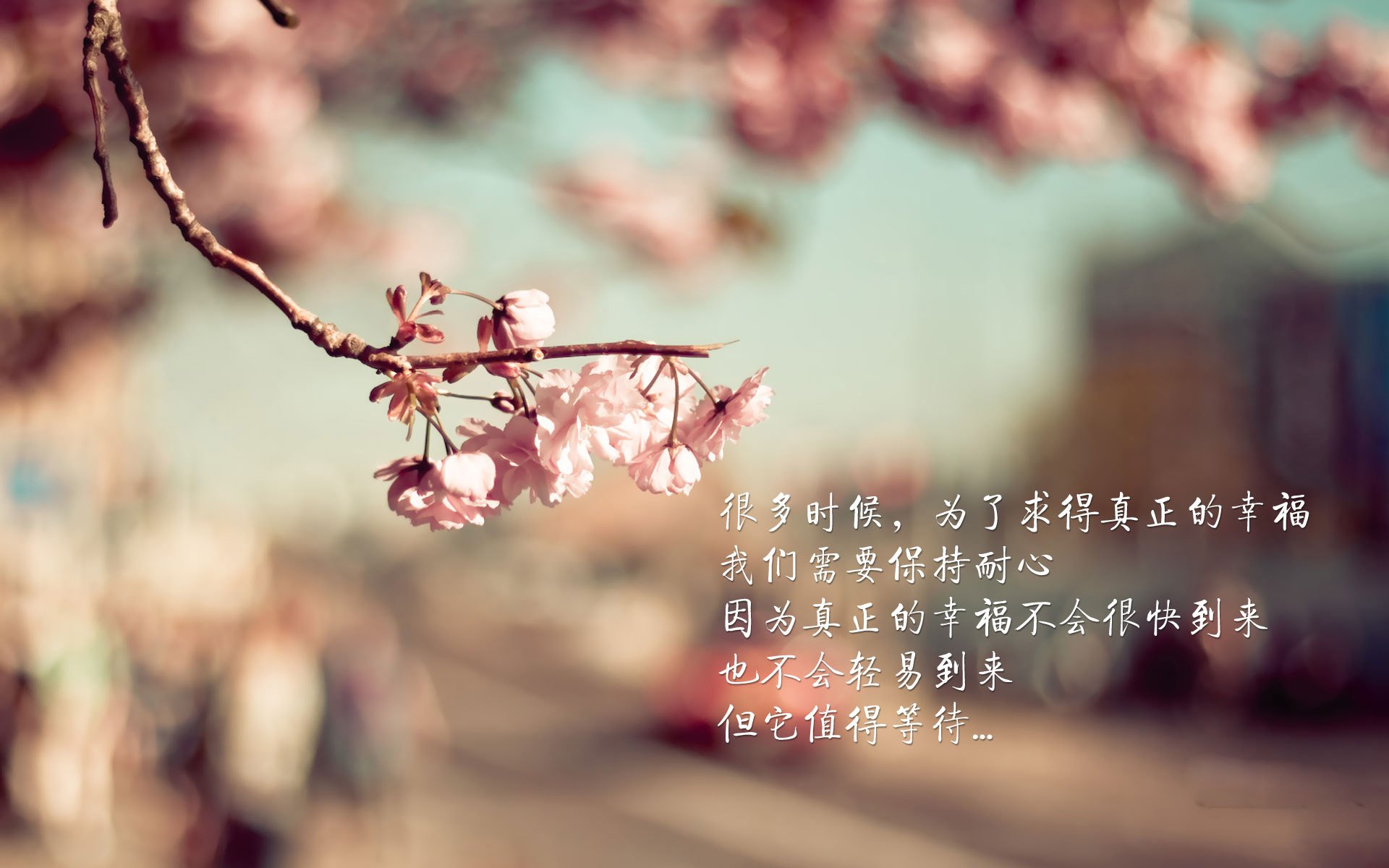 哥本哈根的最后一抹光，罗德里戈刺破沙漠防线，丹麦绝杀阿联酋上演生死时速